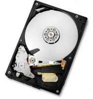Hitachi Deskstar 5K1000, 1TB (0F12957)
